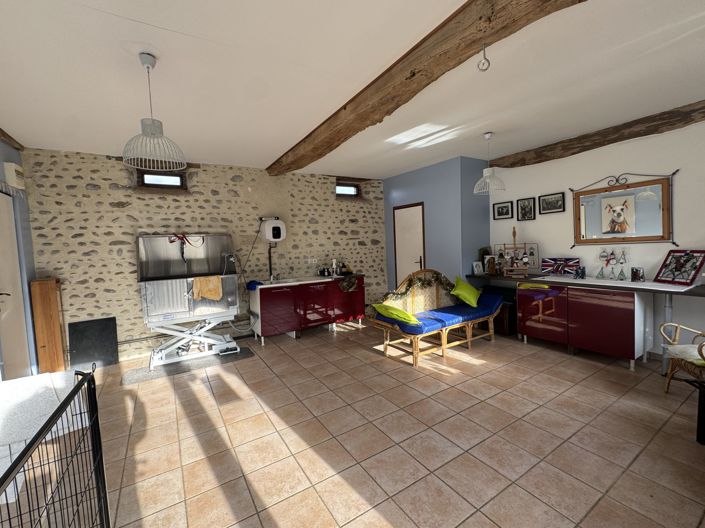 Image No.42-Maison de 6 chambres à vendre à Vic-en-Bigorre