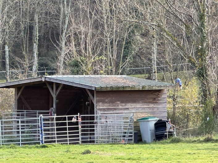Image No.57-Maison de 6 chambres à vendre à Vic-en-Bigorre