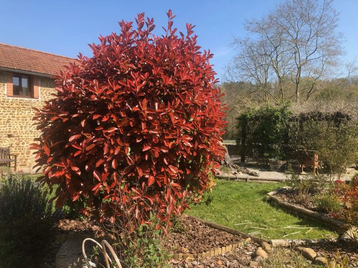 Image No.59-Maison de 6 chambres à vendre à Vic-en-Bigorre