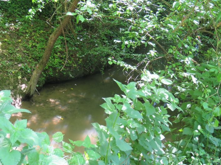 Image No.38-Maison de campagne de 4 chambres à vendre à Castelnau-Magnoac