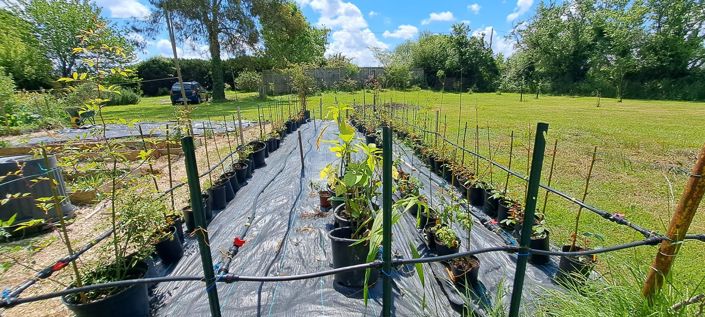 Image No.17-Maison de 4 chambres à vendre à Plaisance