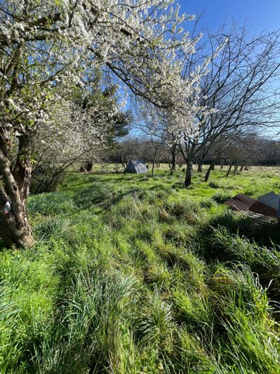 Image No.17-House for sale