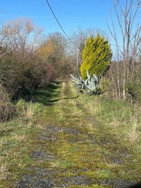 maison-1-piece-tarasteix-65320-1741085548-vm3