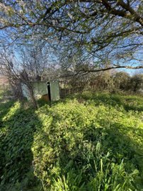 maison-1-piece-tarasteix-65320-1741085552-vm3