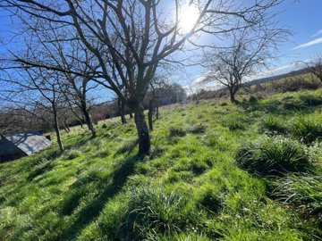 maison-1-piece-tarasteix-65320-1741085553-vm3