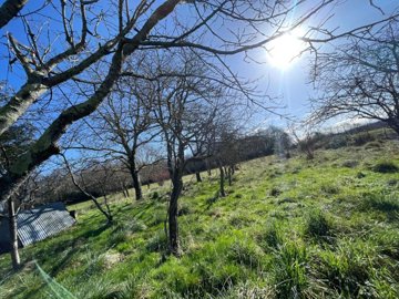 maison-1-piece-tarasteix-65320-1746538234-vm3