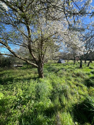 Image No.9-House for sale