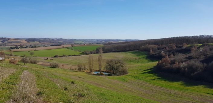 Image No.38-6 Bed House for sale