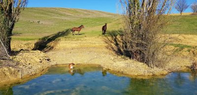 maison-11-pieces-riguepeu-32320-1748171472-vm