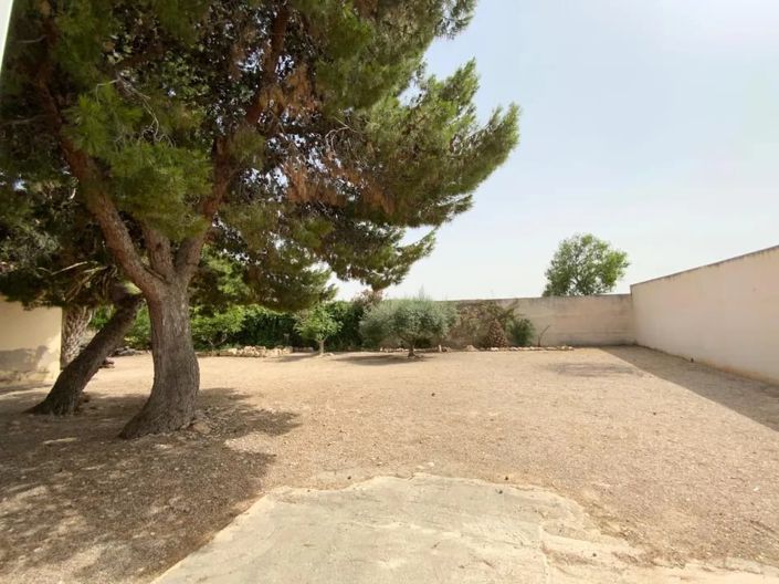 Image No.6-Maison de campagne de 3 chambres à vendre à Torre Pacheco Town