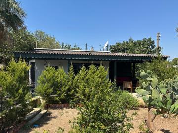 WhatsApp-Image-2025-07-17-at-12-26-29_ce96d9ec