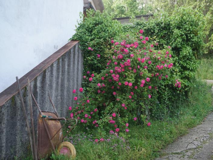 Image No.47-5 Bed House for sale