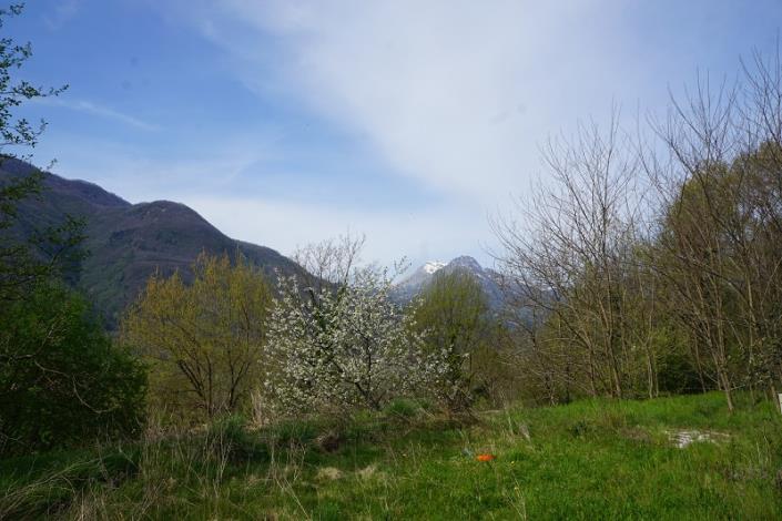 Image No.54-5 Bed House for sale