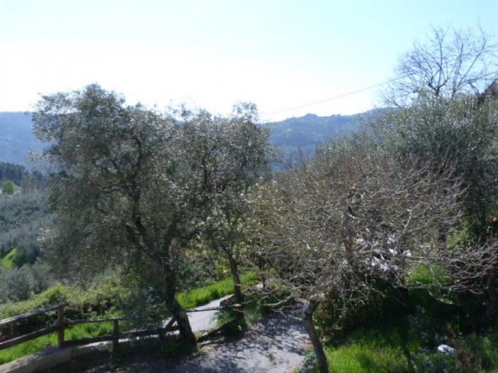 Image No.20-3 Bed House for sale