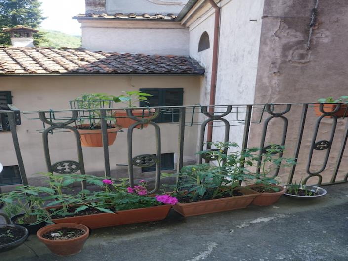 Image No.7-6 Bed House for sale