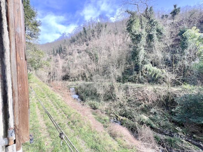 Image No.31-Maison de 3 chambres à vendre à Diecimo