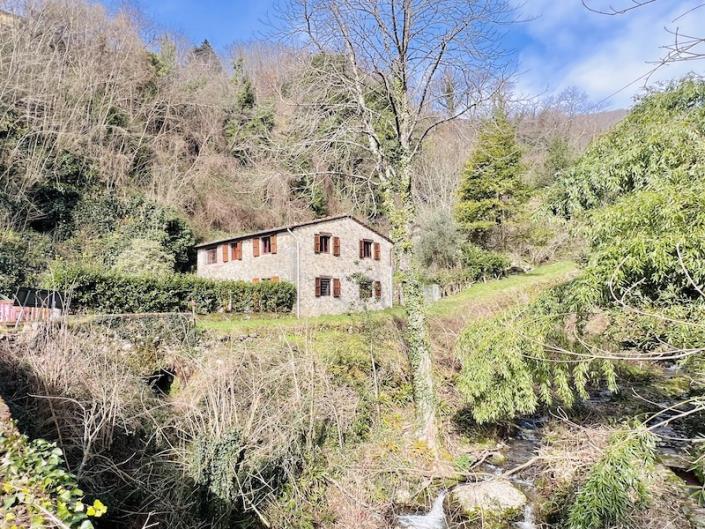 Image No.5-Maison de 3 chambres à vendre à Diecimo