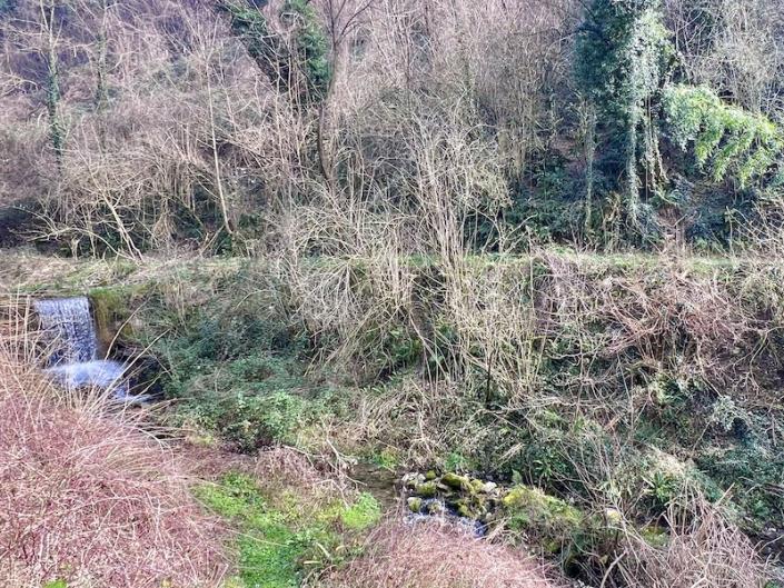 Image No.48-Maison de 3 chambres à vendre à Diecimo