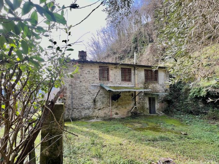 Image No.29-Maison de 3 chambres à vendre à Diecimo