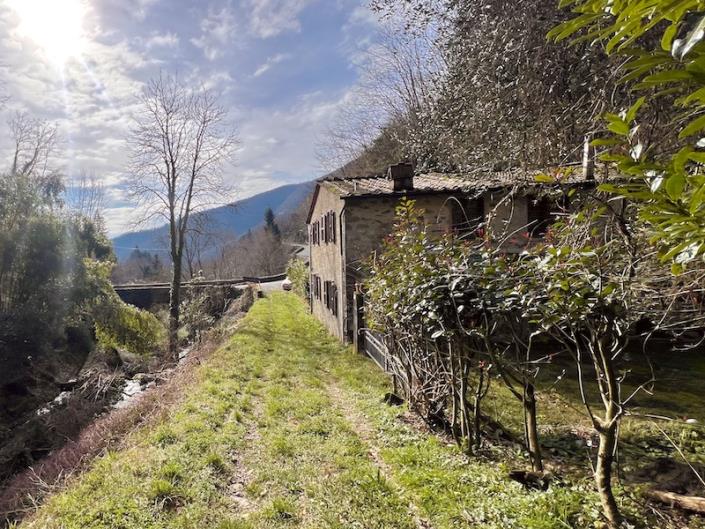 Image No.33-Maison de 3 chambres à vendre à Diecimo