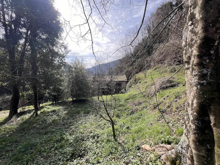 Image No.51-Maison de 3 chambres à vendre à Diecimo