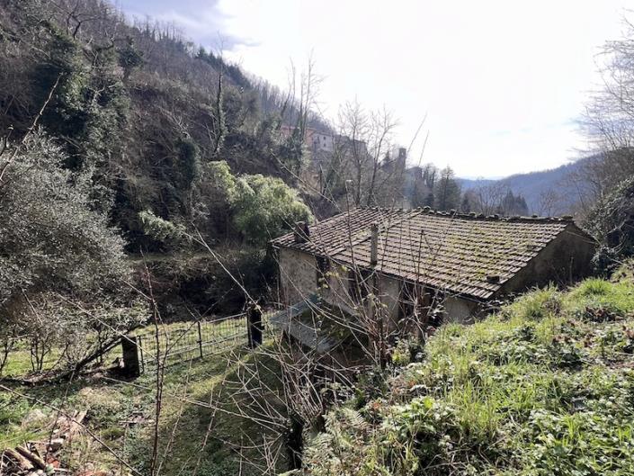 Image No.19-Maison de 3 chambres à vendre à Diecimo