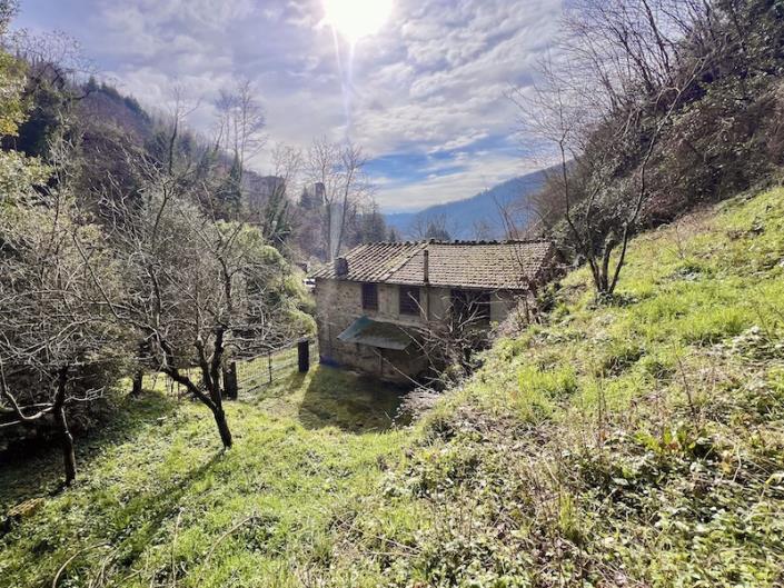 Image No.41-Maison de 3 chambres à vendre à Diecimo