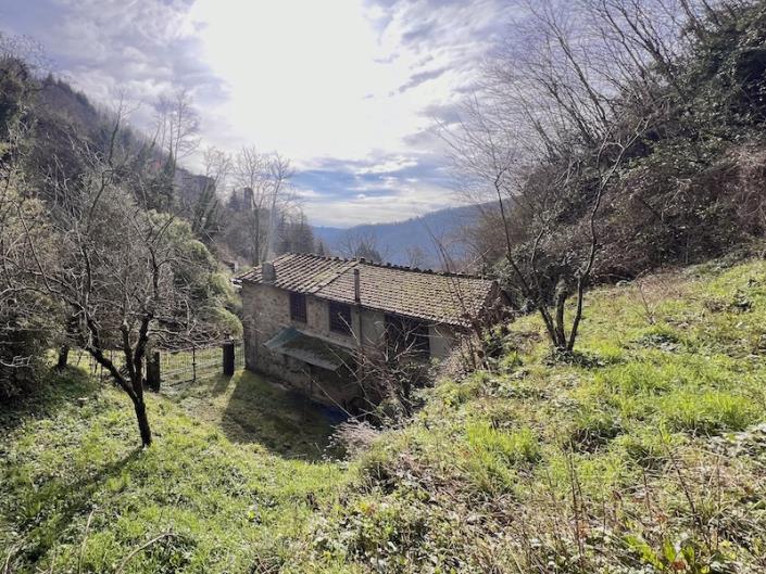 Image No.27-Maison de 3 chambres à vendre à Diecimo