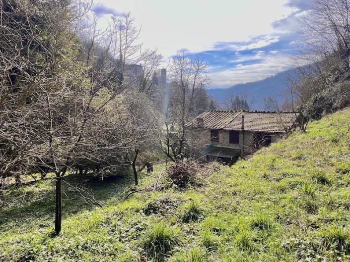 Image No.35-Maison de 3 chambres à vendre à Diecimo