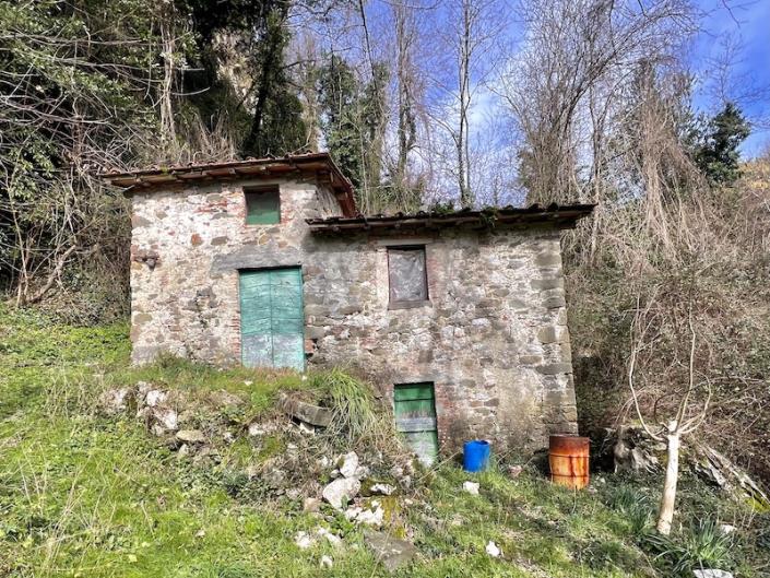 Image No.59-Maison de 3 chambres à vendre à Diecimo