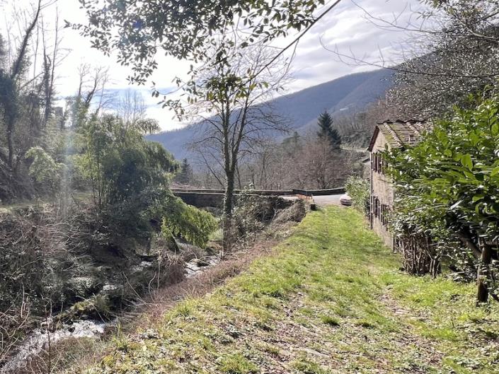 Image No.37-Maison de 3 chambres à vendre à Diecimo