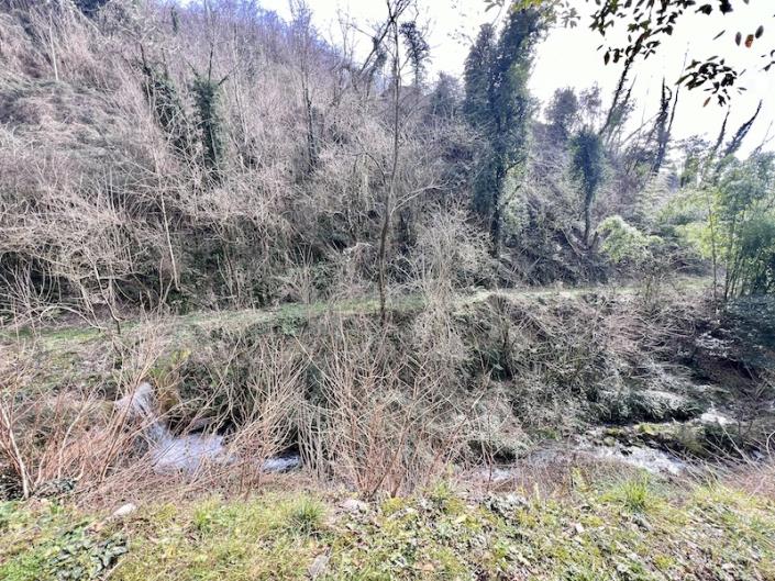 Image No.55-Maison de 3 chambres à vendre à Diecimo