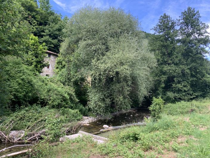 Image No.5-Maison de campagne de 2 chambres à vendre à Camporgiano