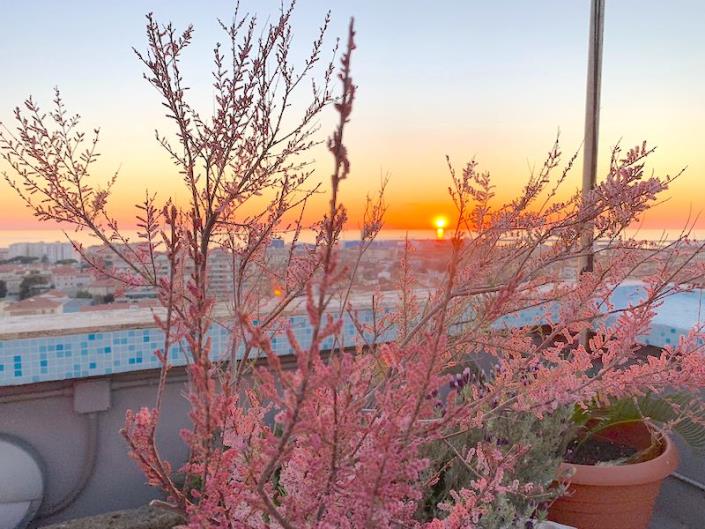 Image No.7-Appartement de 2 chambres à vendre à Livorno