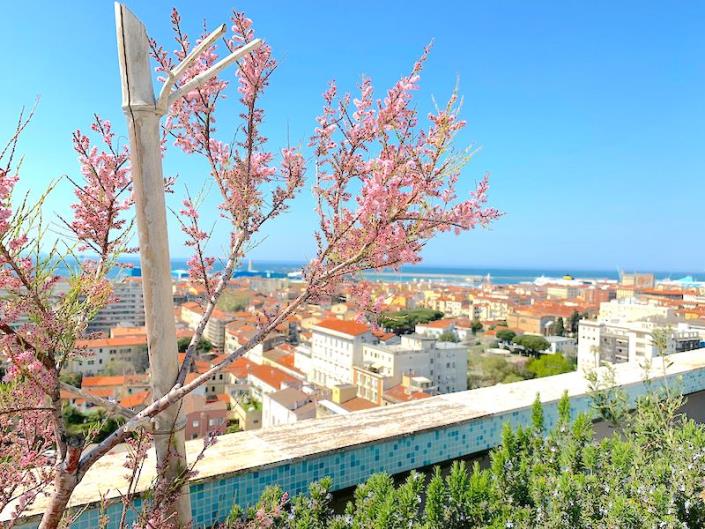 Image No.17-Appartement de 2 chambres à vendre à Livorno