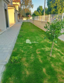 687_Calis-crossroad-17