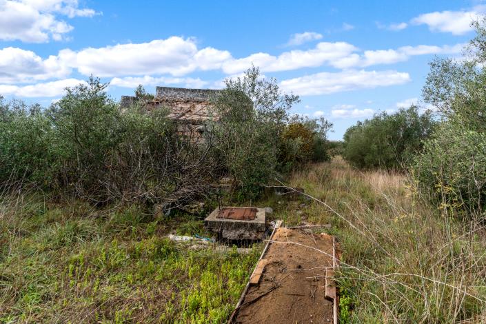 Image No.7-Propriété de pays à vendre à Galatone