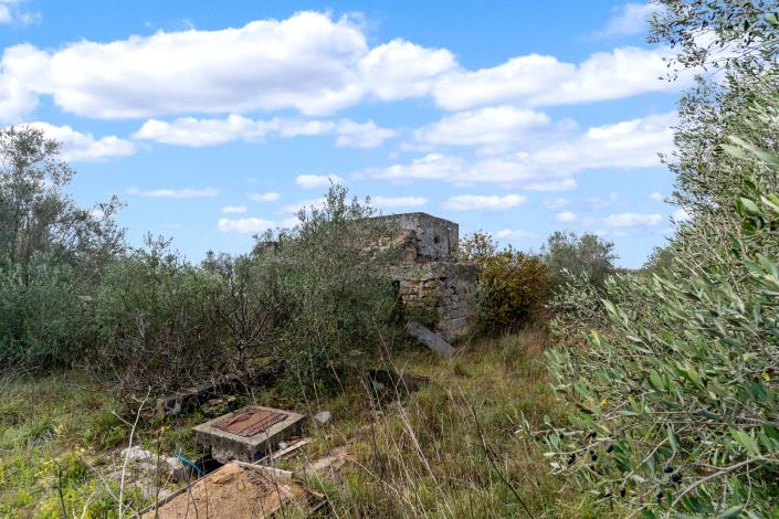 Image No.8-Propriété de pays à vendre à Galatone