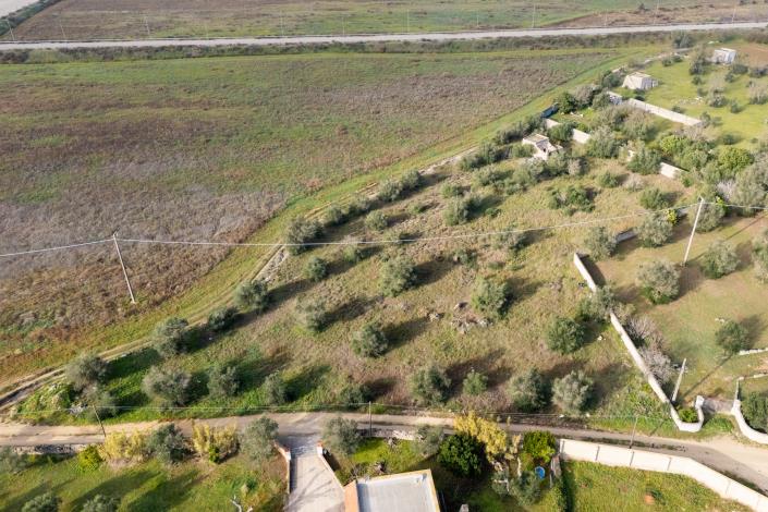 Image No.14-Propriété de pays à vendre à Galatone