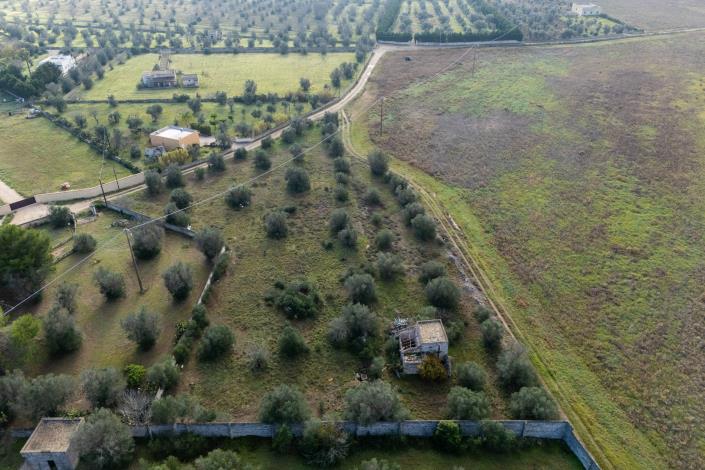 Image No.16-Propriété de pays à vendre à Galatone