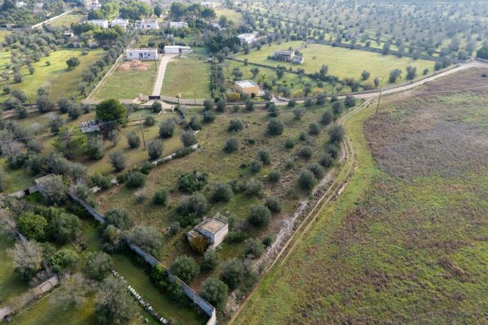 Image No.17-Propriété de pays à vendre à Galatone