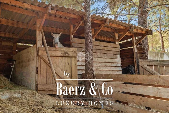 Image No.20-Villa de 7 chambres à vendre à Le Pradet