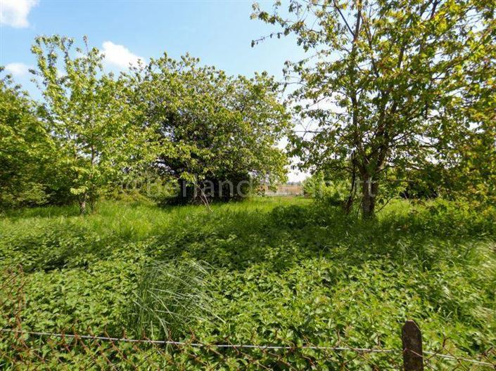 Image No.17-Maison de 3 chambres à vendre à Charente
