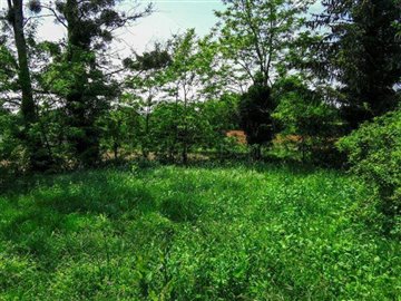 148b5299-2cde-fd8c-765c-c311efe76d40