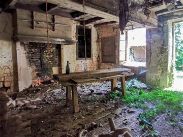 620adad2-1b43-4274-f699-e7d706f82566