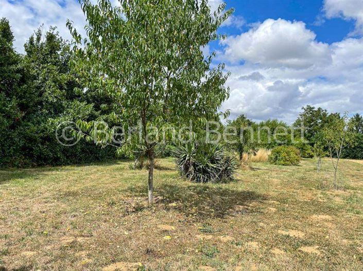 Image No.19-5 Bed House for sale