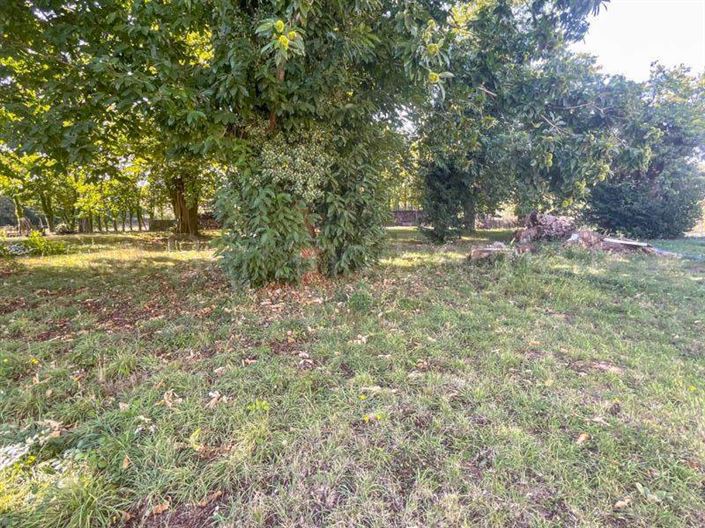 Image No.19-Maison de 3 chambres à vendre à Sauzé-Vaussais