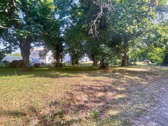 Image No.20-Maison de 3 chambres à vendre à Sauzé-Vaussais