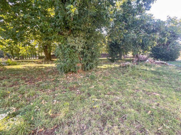 Image No.21-3 Bed House for sale