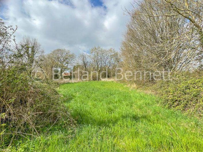 Image No.2-Terre à vendre à Sauzé-Vaussais